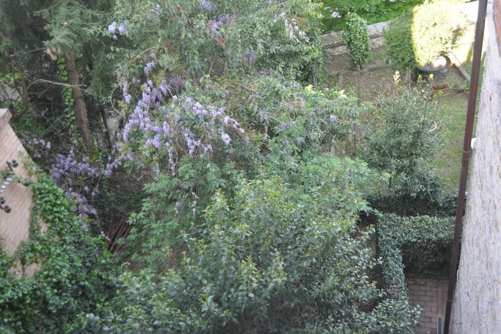 Il Profumo Del Lauro Appartement Perugia Buitenkant foto