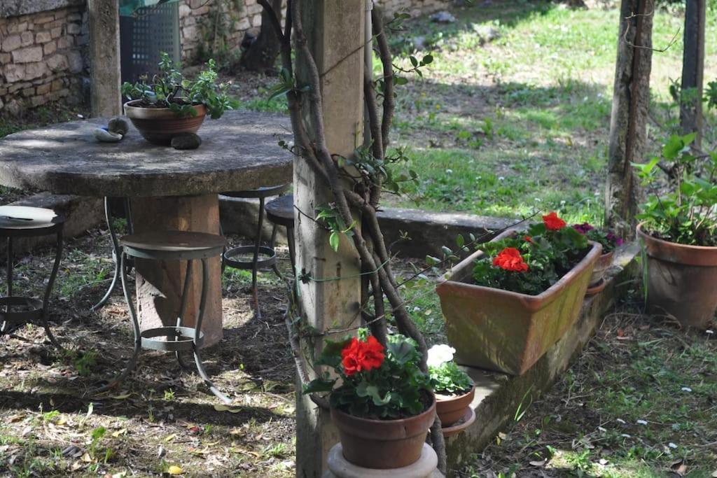 Il Profumo Del Lauro Appartement Perugia Buitenkant foto
